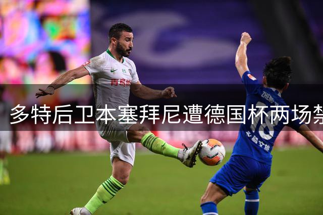 多特后卫本塞拜尼遭德国杯两场禁赛 因德超杯红牌追加处罚