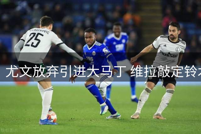 尤文放弃引进大马丁 维拉敲定铃木彩艳为新主力门将