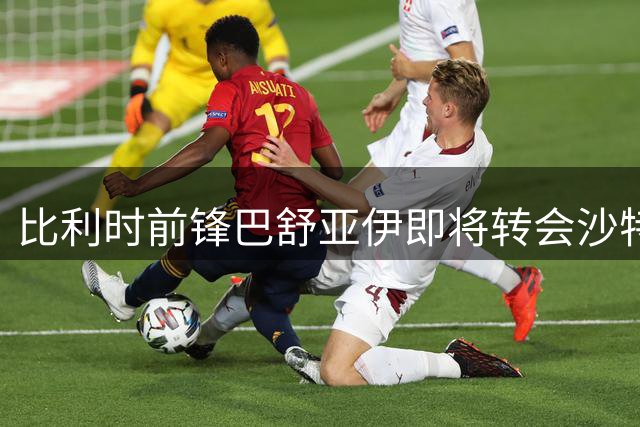 比利时前锋巴舒亚伊即将转会沙特联赛